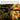 523025401